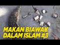 Kerap Dijadikan Obat Bagaimana Hukum Makan Biawak Oleh Islam HALAL