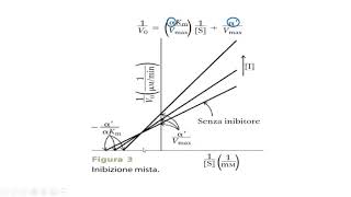 7. Inibizione enzimatica
