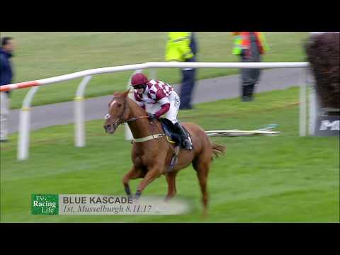 Ken McGarrity speaks to Racing TV about Scottish Cheltenham Trials