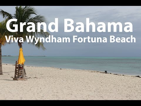 Videos del Viva Fortuna Beach By Wyndham A Trademark 3★ en Freeport, BahamasVer MásVerPrecios20CerrarConsulta por Whatsapp 🇦🇷BookingTripadvisorExpediaAgodaTravelocityOrbitzPricelineTripSkyscannerDespegarKayakHotelesBestdayDestiniaTrivagoTurismocityAlmundoLastminuteHotwireWotif
