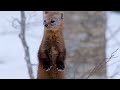 Hide and Seek