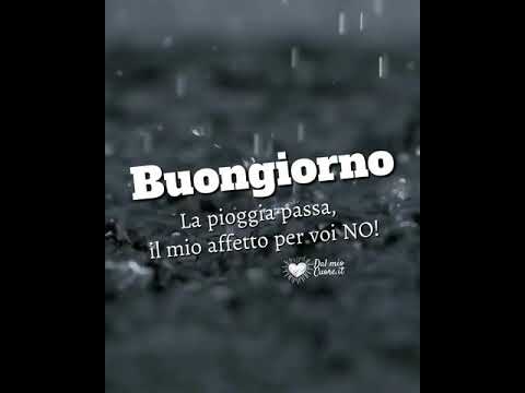 Buongiorno. La pioggia passa, il mio affetto per voi NO!