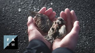 Trailer Thumbnail