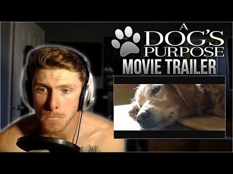 Vapor Reacts #42 | A Dog's Purpose Official Trailer #1 (2017) REACTION!! - I'M GOING TO CRY!