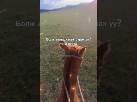 Ulzii Gansuh - Nandignaarai