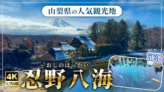 途易集団日本株式会社