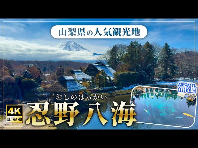 途易集団日本株式会社