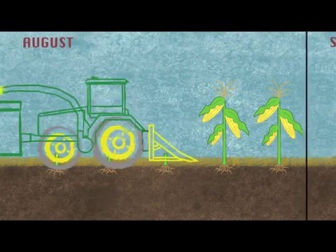 Chapter 4: Farmers going under ‘cover’