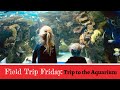 Field Trip Friday Trip To The Aquarium Ripley S Aquarium Toronto Raising A To Z