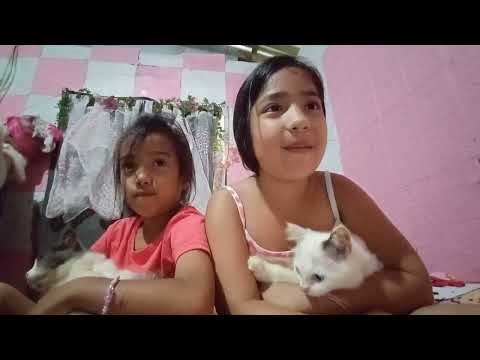 Krishi and aAsha introducing My cats Charles and Snowy 🥰🐱🐱