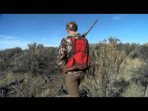 Steven Rinella and First Lite's Ryan Callaghan Hunt Quail in Idaho