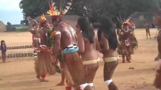 African Primitive Tribal Indgenous culture  Tribe 