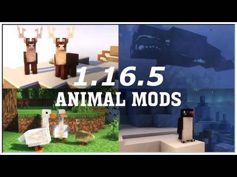 Best 1.16.5 Animal Mods [Forge] - Minecraft Cinematic Showcase