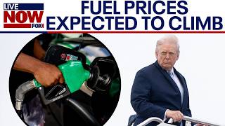 Oil prices expected to surge once again, United Airlines to cut more flights