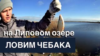Рыбалка в тюмени на андреевском озере тюмень