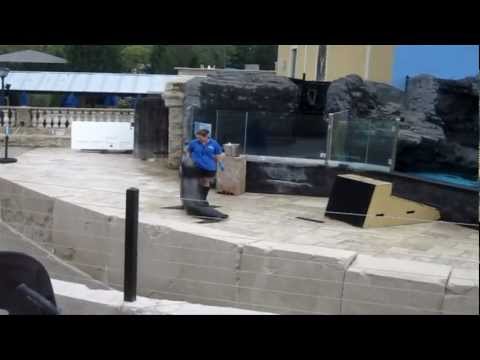 Complete Atlantis Marine World Sea Lion Show 2010 (Java)