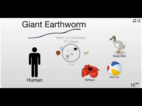 Smallest to Largest things of the Universe.