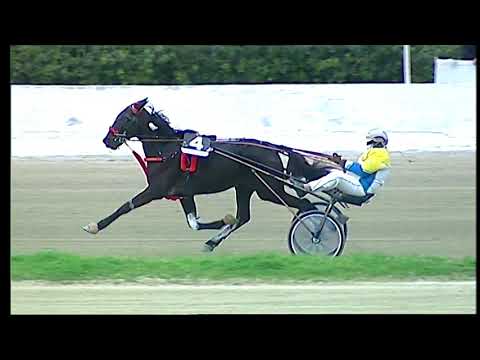 Trotto 22/01/2021 - 5ª corsa