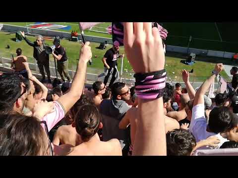 Palermo-Pescara 1-1 Dopo Il gol di Coronado