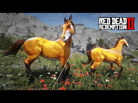 I found a herd of FOX HORSES, let's TAME them - THE HORSE COLLECTOR - ep18