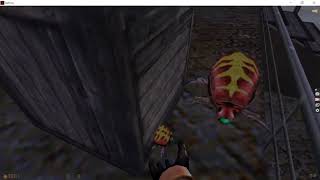 Half life before Gameplay