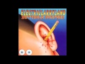BUTTHOLE SURFERS - BIRDS