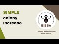 Simple Honey Bee Colony Increase (Roger Patterson)