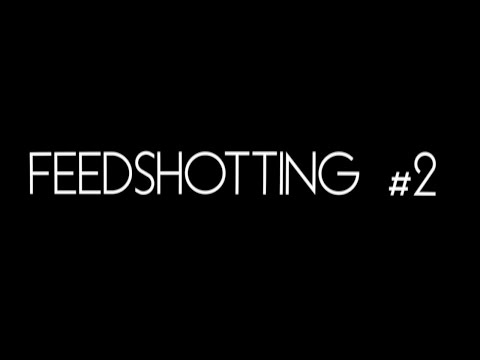 Feedshotting #2 | Hightosis