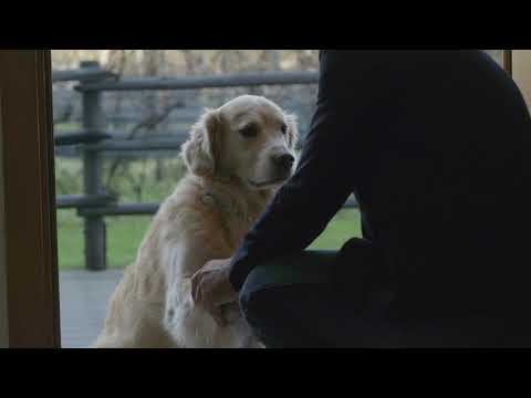 Er fühlt sich sichtlich wohl! Paljari Hundedecke