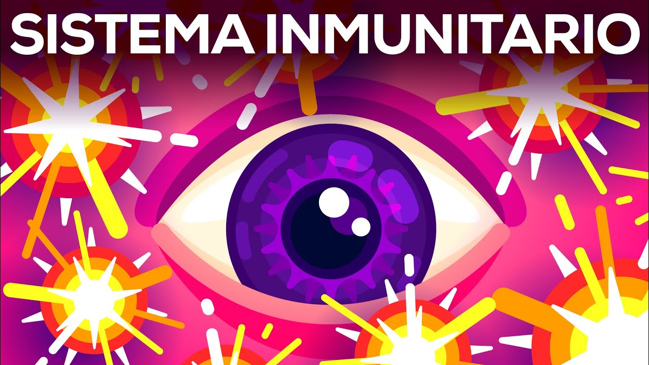 Microbombas en la sangre: el sistema del complemento