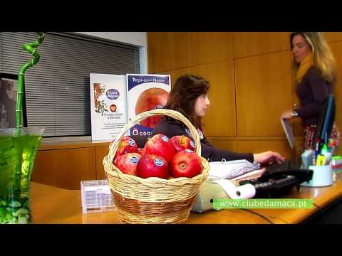 Clube da Maçã de Alcobaça