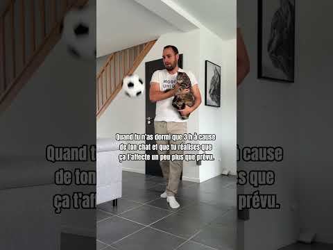 Ne vous inquiétez pas ! Il lui reste 8 vies 😜😅