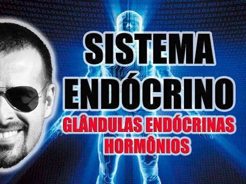 Sistema Endócrino: Glândulas endócrinas e hormônios secretados - Anatomia Humana - Vídeo Aula 033