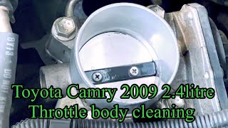 Toyota Camry 2009 throttle body cleanings