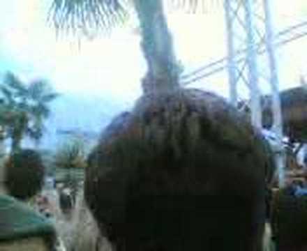 happy hours al papeete di milano marittima