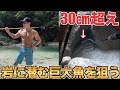 岩に潜む尺超えの岩魚を銛で突いて食う!!最高のサバイバル遊び!!
