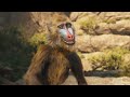 Mufasa The Lion King We Go Together Music Video I 4K Ultra HD