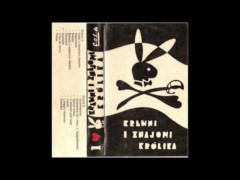 Latający holender - Krewni i Znajomi Królika