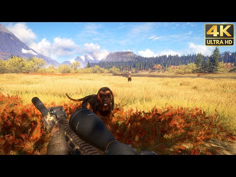 The Hunter: Call of the Wild [4K 60fps] No Commentary Gameplay