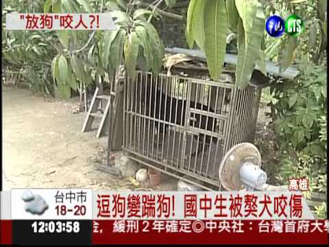 逗狗反被咬 國中生右腳被咬穿!