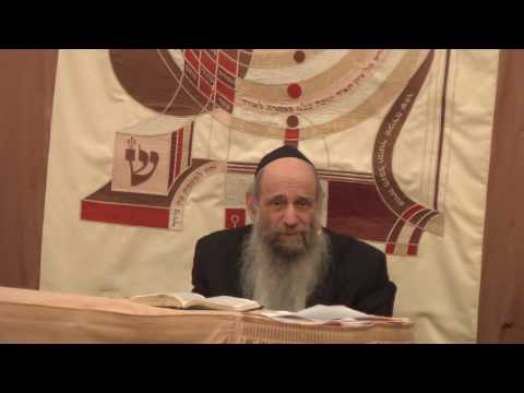 Why Did Rabbi Akiva Think Bar Kochba Was the Moshiach? - Ask the Rabbi Live with Rabbi Mintz