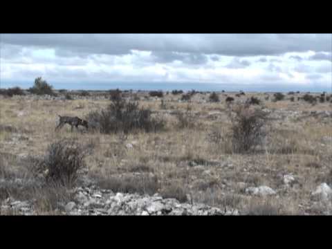 Secuencia_05 La Sequera de Haza