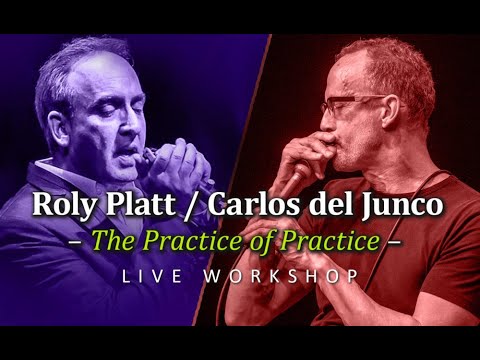 (Workshop) Carlos del Junco & Roly Platt: “The Practice of Practice”