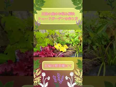 日陰の庭: 日陰で育つ植物は何ですか?私たちのトップ5  庭園