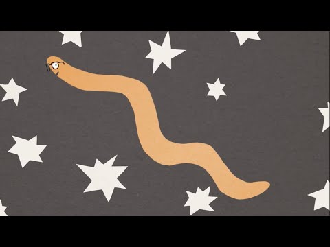 Little Wilma Wiggly Worm - Mr. Greg