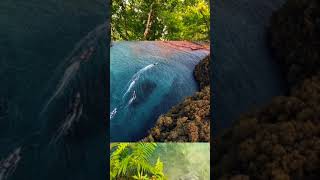 Download lagu Keindahan tiada tara 😍 cr/ig badlan_/drg.dentadio/adityakurniawanpp #wonderfulindonesia #diind mp3