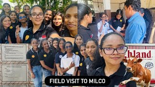 Download lagu අපි highland කිරි හදන විදිහ බලන්න ගියා| Uni diaries | Vlog 0028 mp3