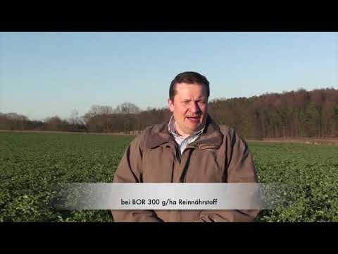 Ackerbauforum - Bestandesführung & Pflanzenschutz im Raps