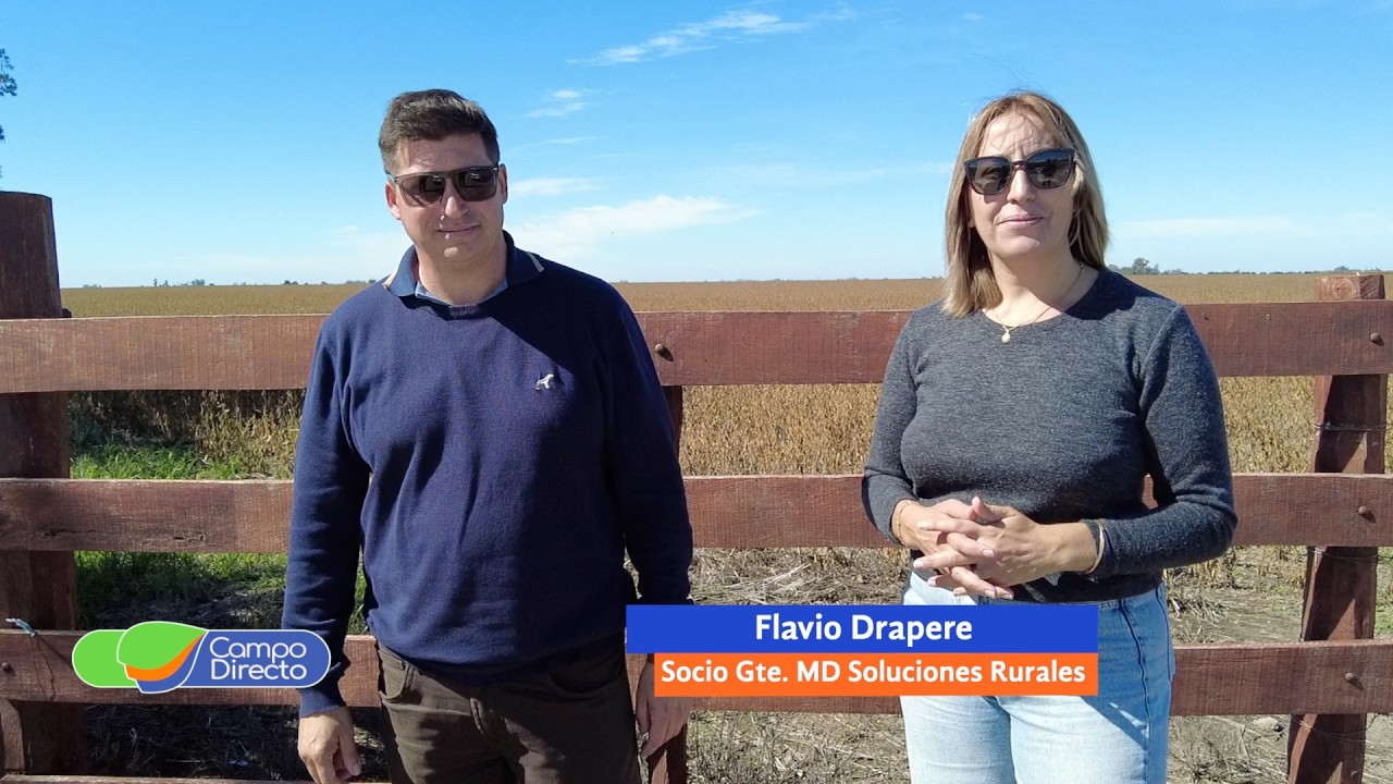 Campo Directo | Buen momento para el mercado inmobiliario rural en Córdoba