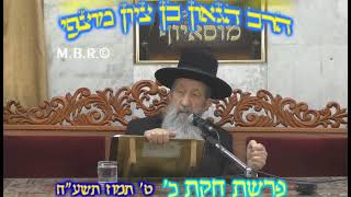 הרב בן ציון מוצפי • פרשת חקת תמוז תשע"ח (הרב בן ציון מוצפי) - התמונה מוצגת ישירות מתוך אתר האינטרנט יוטיוב. זכויות היוצרים בתמונה שייכות ליוצרה. קישור קרדיט למקור התוכן נמצא בתוך דף הסרטון